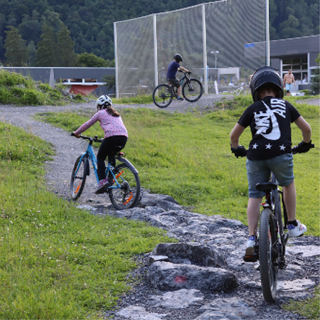 Bild für Kategorie Gorilla - Mini-Tricks & Hindernisse