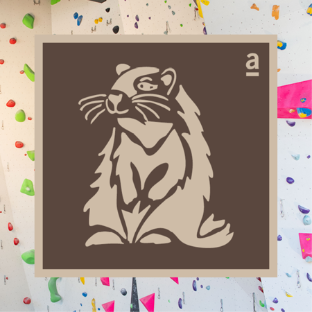 Bild für Kategorie Murmeli - Grundkurs 1