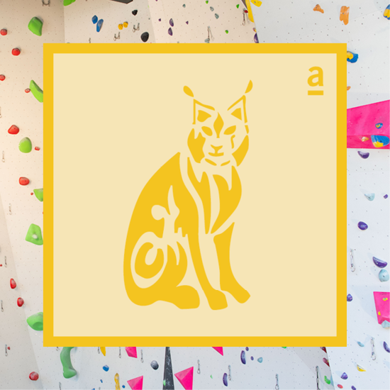 Bild von Klettern Luchs