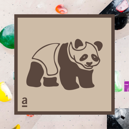 Bild für Kategorie Panda - Boulderkurs für die Kleinsten