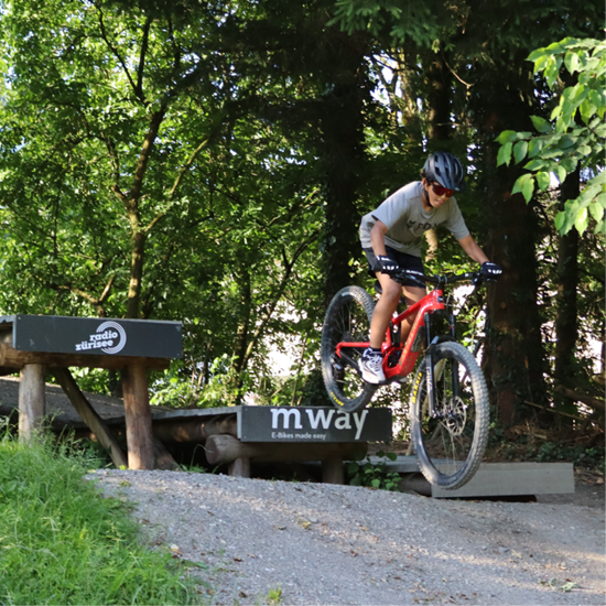 Bild von Bike - Springen & Droppen