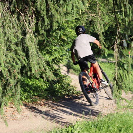 Bild für Kategorie Flamingo - Kurvenhelden & Balance-Meister