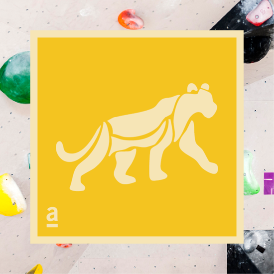 Bild von Bouldern Jaguar